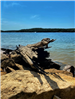 Log washed up on rocks at Skiatook Lake.